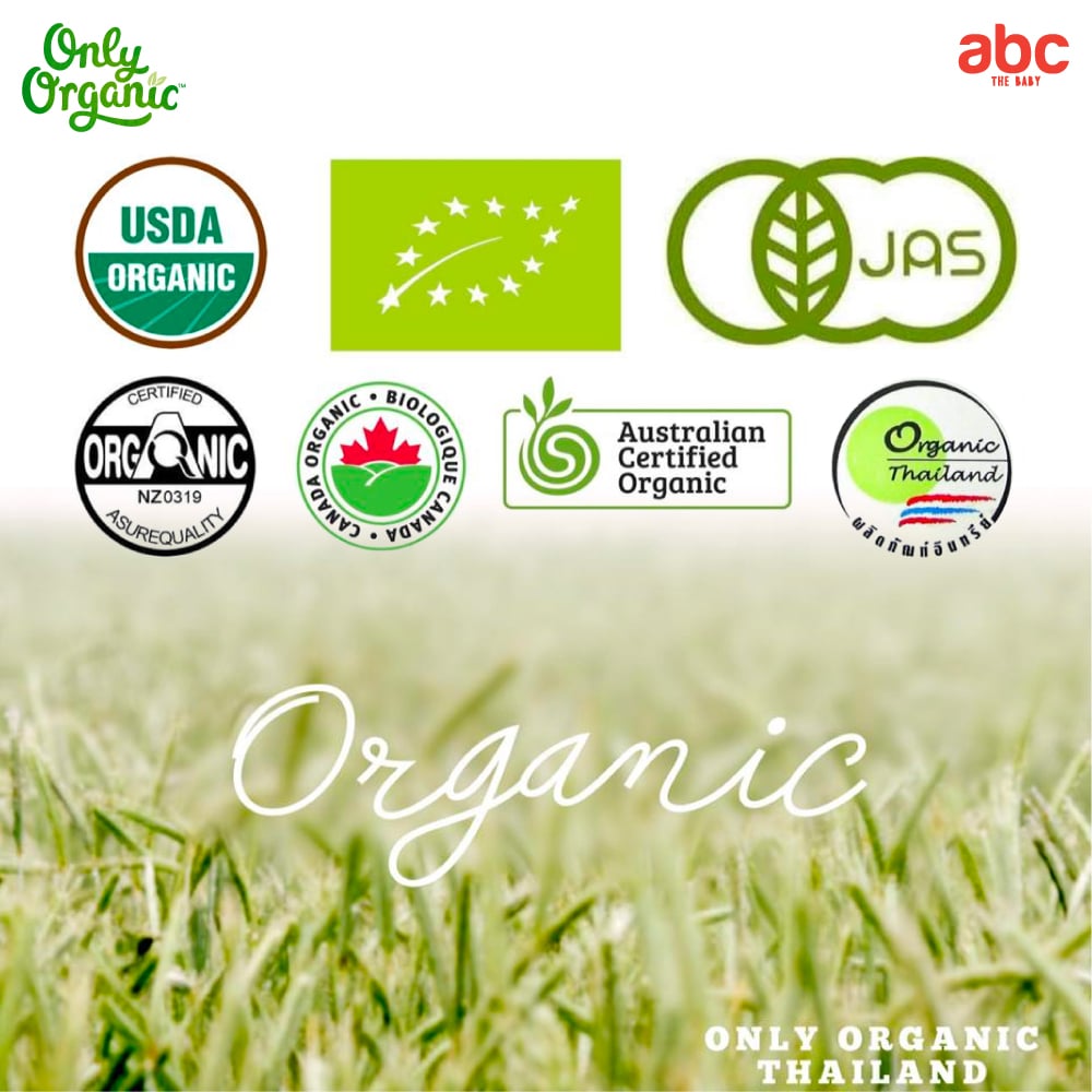 SHOPEE: طعام أطفال Only Organic بالجزر والعدس الأحمر والشيدر Carrot Red Lentils & Cheddar للأطفال من عمر 6 أشهر فأكثر (عبوة من كيسين) صورة 8